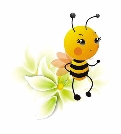 槐花蜜通便 桂花蜜养胃